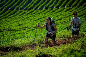 BIB: 29772, 1914
                            <button type="button" onclick="openModal(19160755)" class="btn btn-primary btn-sm float-right btn-popup" data-toggle="modal" data-target=".modal-high-quality">
                        <i class="fas fa-shopping-cart"></i> Add to Cart
                    </button>
                                            <button type="button" onclick="isThisMe(19160755, true)" class="btn btn-success btn-sm float-right btn-popup btn-isme hidden" data-toggle="tooltip" data-placement="bottom" title="นี่คือรูปของคุณใช่ไหม คลิกที่นี่เพื่อเอาเข้าอัลบั้ม">
                        <i class="fas fa-plus"></i> Add to album
                    </button>
                    <button type="button" onclick="isThisMe(19160755, false)" class="btn btn-warning btn-sm float-right btn-popup btn-isnotme hidden">
                        <i class="fas fa-ban"></i> Remove from album
                    </button>